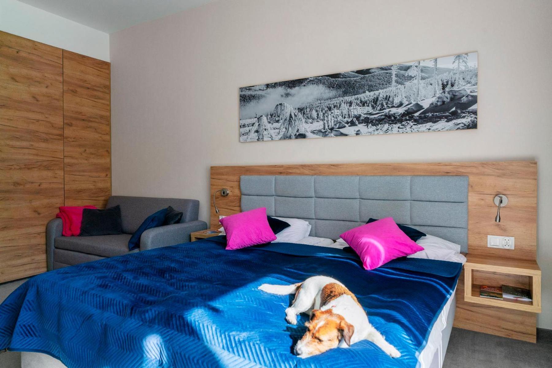 Apartament Folgaria - Aparthotel Panorama Czarna Gora Sienna  Dış mekan fotoğraf
